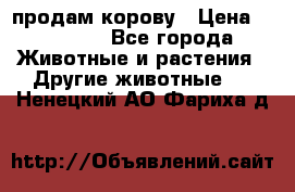 продам корову › Цена ­ 70 000 - Все города Животные и растения » Другие животные   . Ненецкий АО,Фариха д.